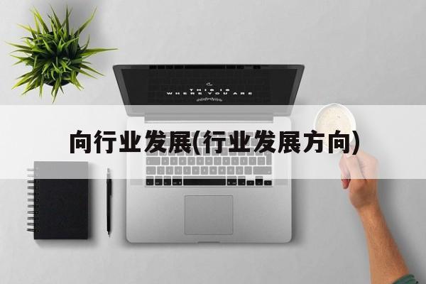 向行业发展(行业发展方向)